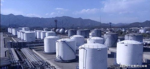 日本石脑油六月见底迷雾 储备又能撑多久？高市早苗紧急辟谣背后的石化困局